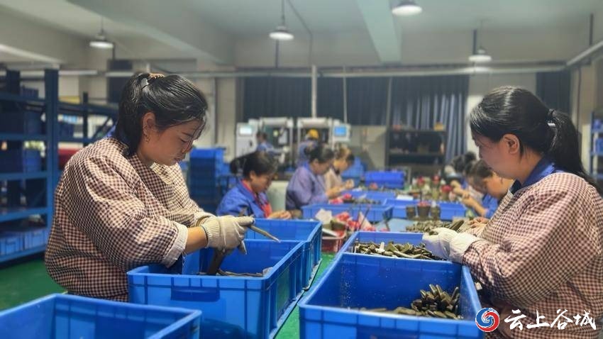 年銷售收入突破8000萬元！襄陽立強(qiáng)機(jī)械訂單飽和產(chǎn)銷兩旺